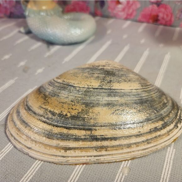 DECOUPAGE CLAM SHELL DECOUPAGE FLOWERS TRINKET DISH - Picture 10 of 11
